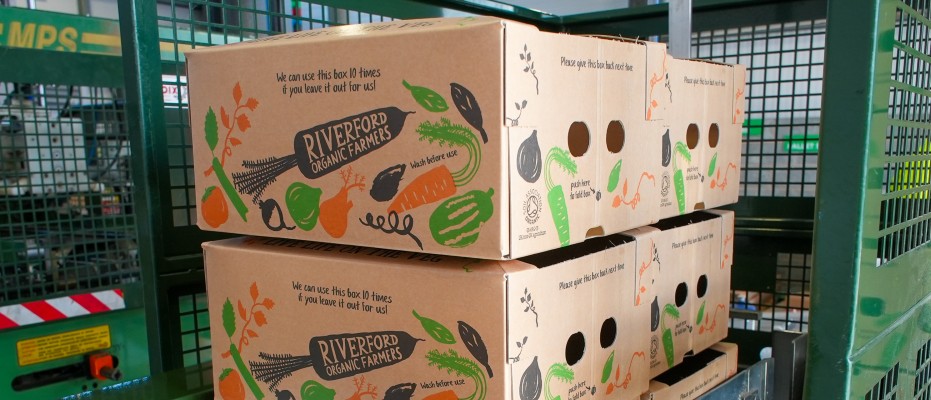 Vegetable cardboard boxes