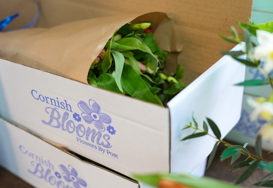 Protective Plant and Flower Shipping Boxes For Cornish Blooms