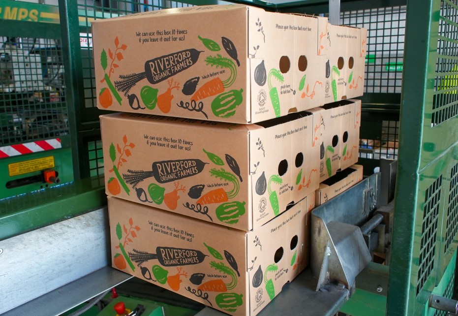 Stacked cardboard vegetable boxes