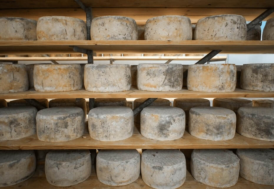 Wholesale cheese