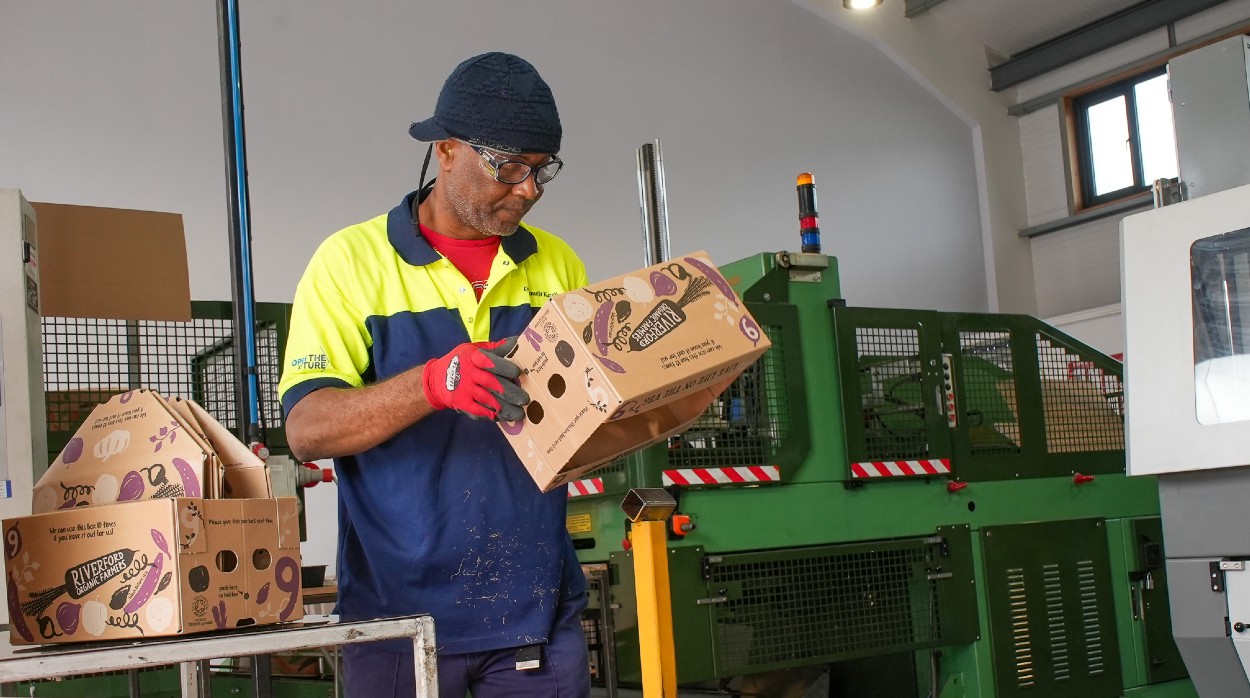 Cardboard vegetable packaging boxes